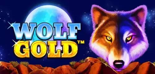 wolf-gold-w88-4